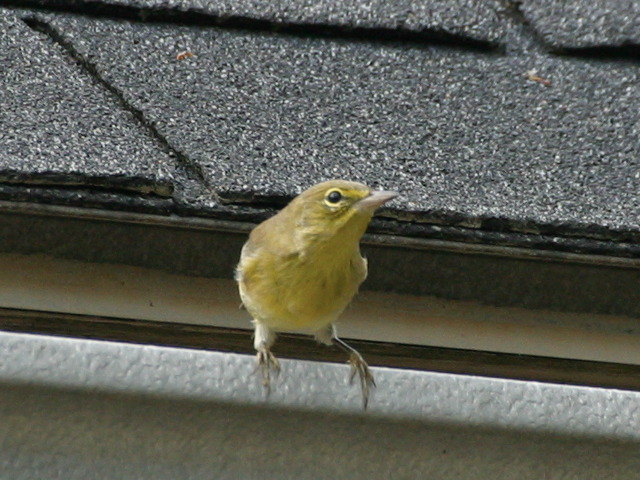 2004-09-04-14.jpg