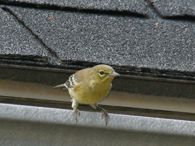 2004-09-04-15.jpg