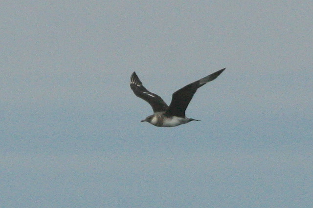 2003-10-01-156.jpg