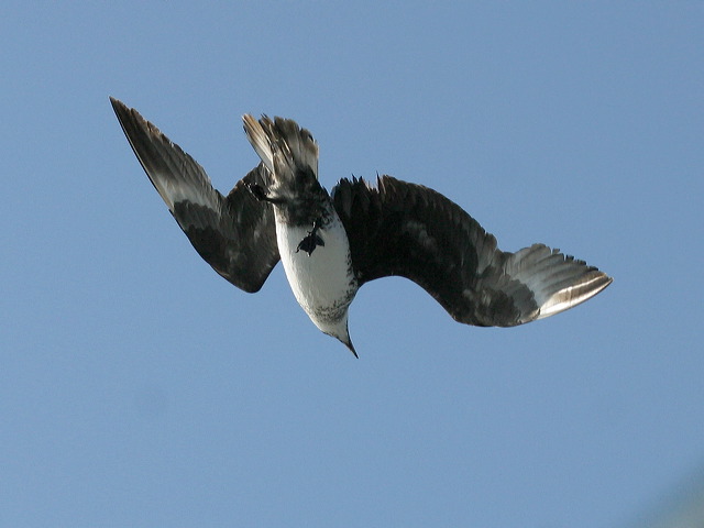 2005-11-03-141.jpg