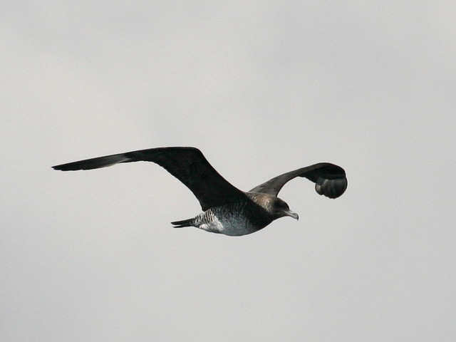 2006-10-02-339.jpg