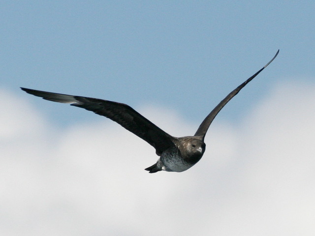 2006-10-02-344.jpg