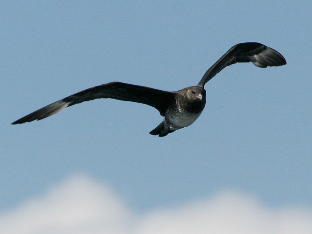 2006-10-02-345.jpg