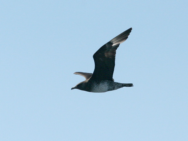 2006-10-02-353.jpg
