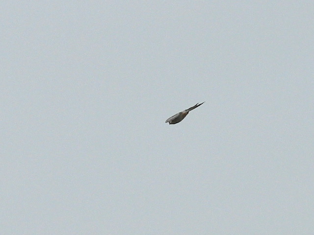 2004-08-03-10.jpg