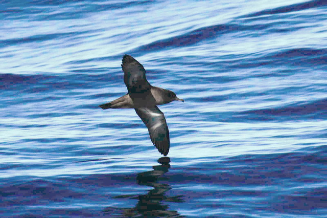 2007-03-04-448.jpg