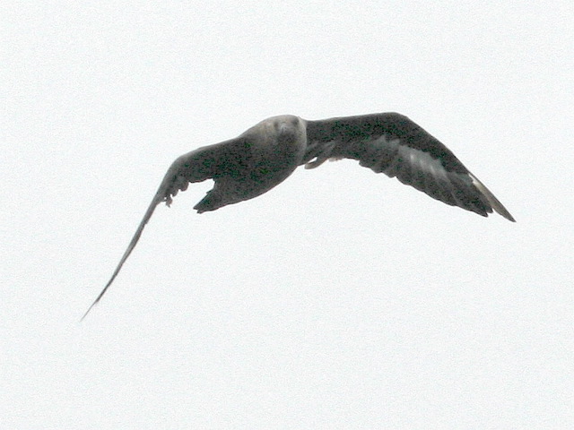 2006-08-08-192.jpg