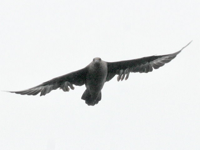 2006-08-08-194.jpg