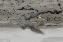 click thumbnail to load image
