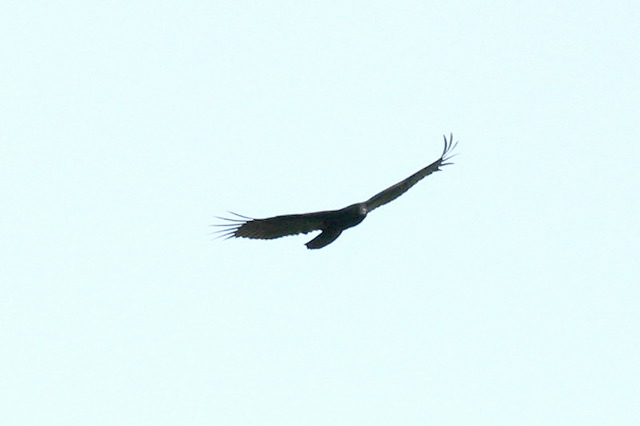 2002-09-05-13.jpg