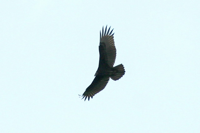 2002-09-05-14.jpg