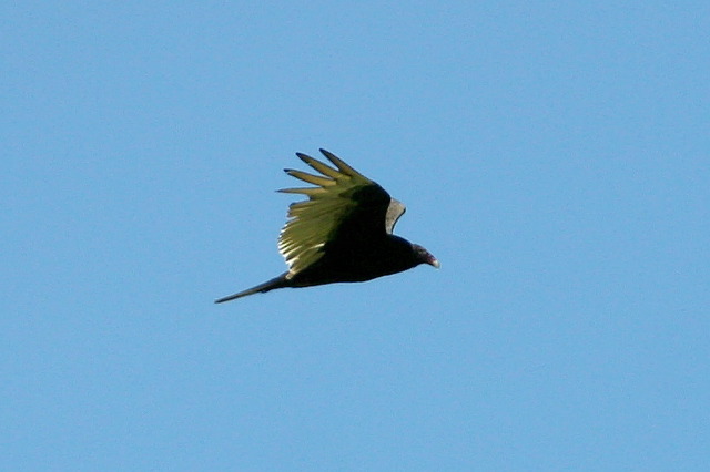 2005-05-03-126.jpg