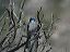 click thumbnail to load image