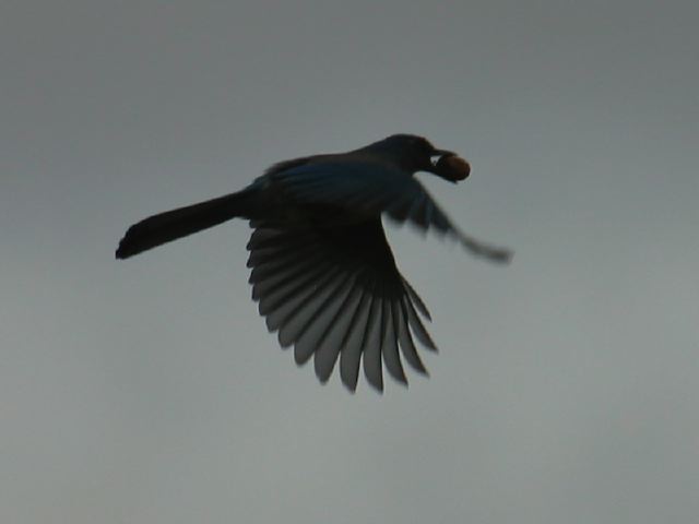 2004-10-04-122.jpg