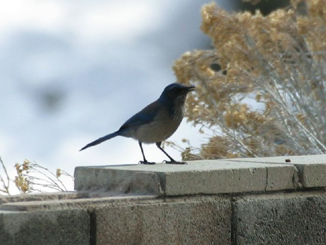 2005-02-05-158.jpg