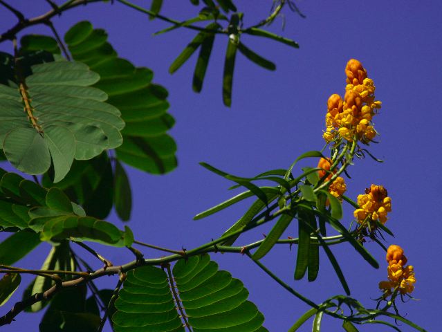 2003-cri-4019.jpg