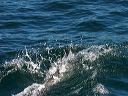 click thumbnail to load image