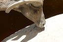 click thumbnail to load image