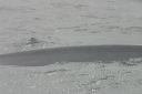 click thumbnail to load image