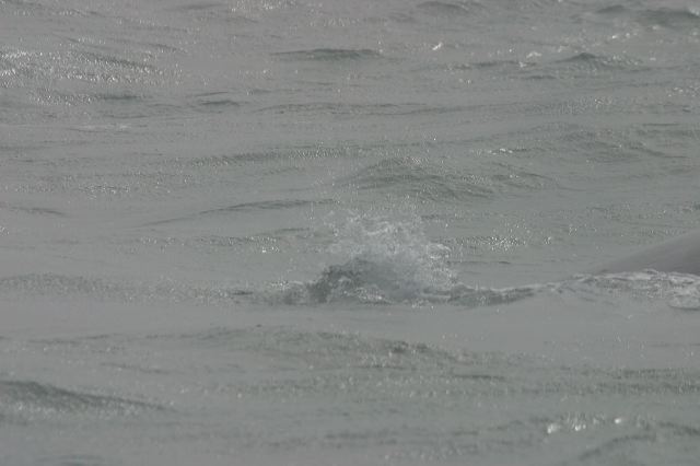 2003-09-05-079.jpg