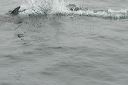 click thumbnail to load image