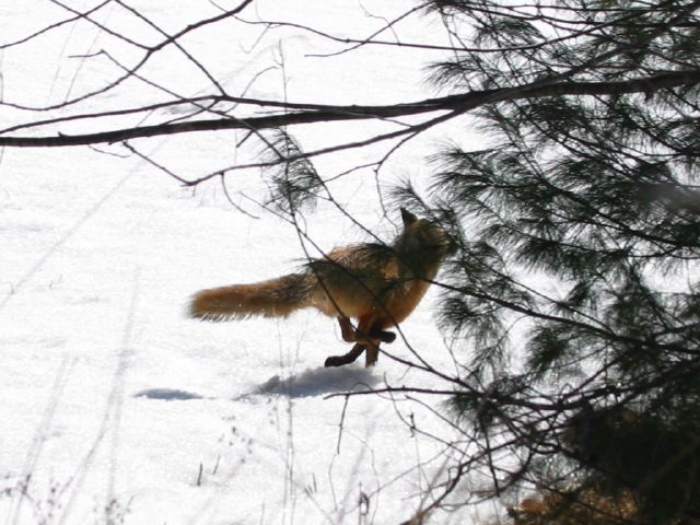 2004-02-02-284.jpg