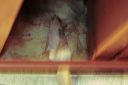 click thumbnail to load image