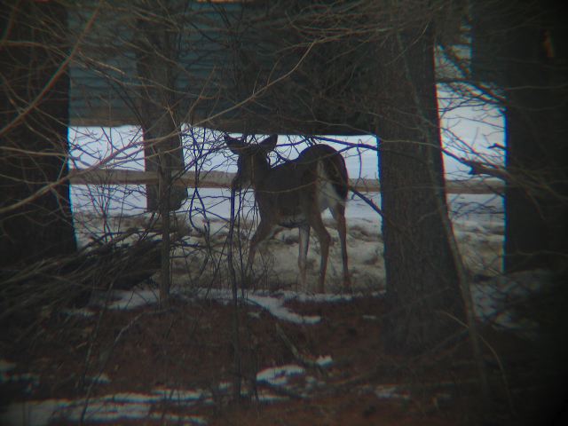 2004-02-02-077.jpg