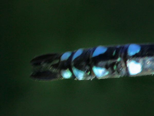 2002-09-02-132.jpg