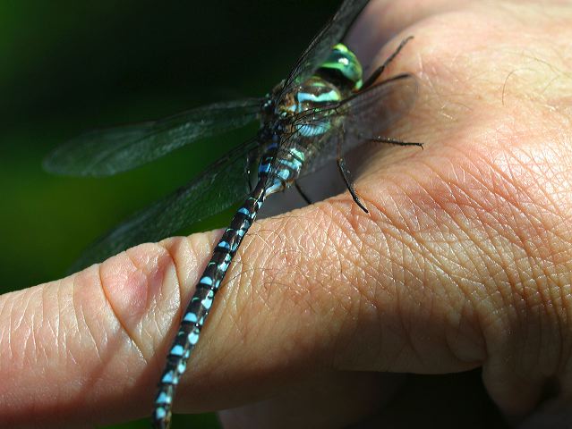 2002-09-02-133.jpg