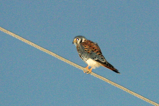 2004-11-01-164.jpg