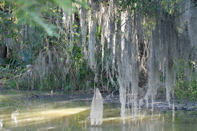 2004-11-02-044.jpg