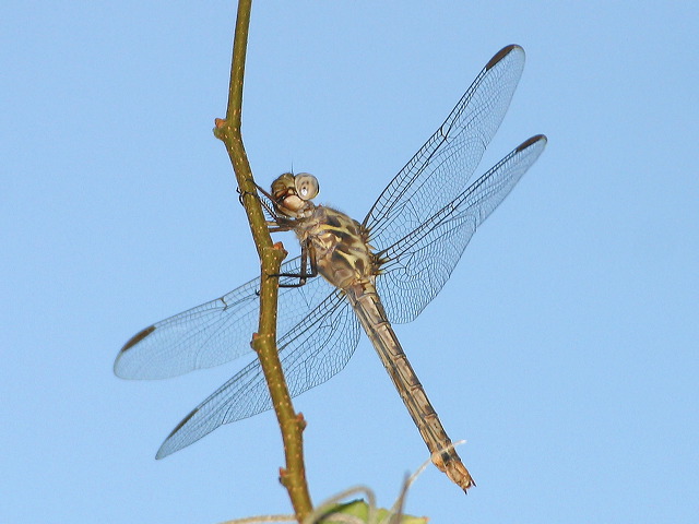 2004-11-02-046.jpg
