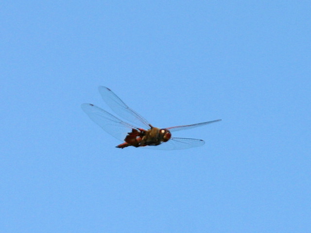 2004-11-02-137.jpg