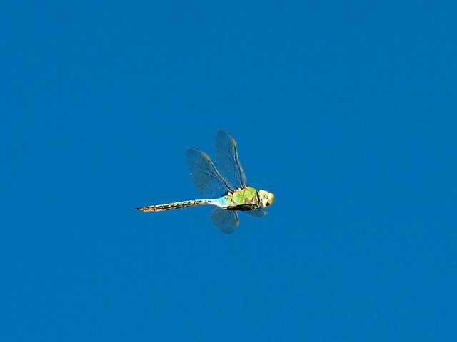 2004-11-02-140.jpg