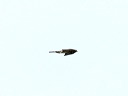 click thumbnail to load image