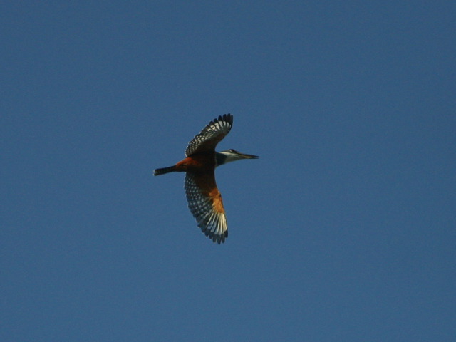 2004-11-03-032.jpg
