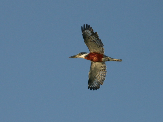 2004-11-03-035.jpg