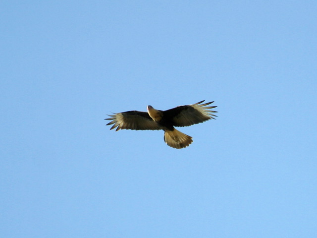 2004-11-03-109.jpg