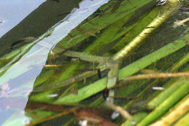 2004-11-05-019.jpg