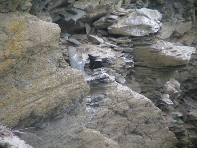 2005-07-04-061.jpg