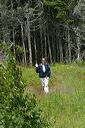 click thumbnail to load image