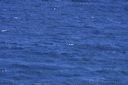 click thumbnail to load image