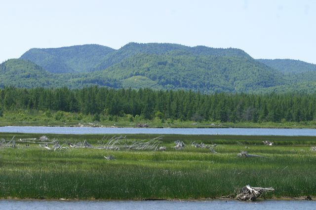2005-07-05-101.jpg
