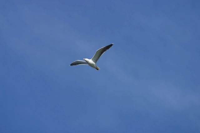 2005-07-05-162.jpg