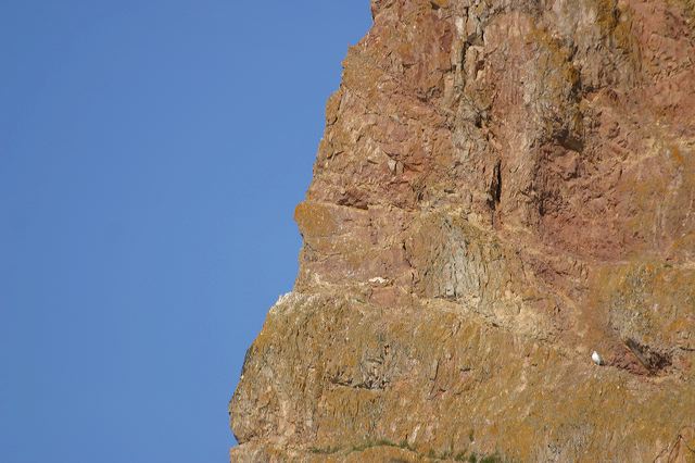 2005-07-06-079.jpg