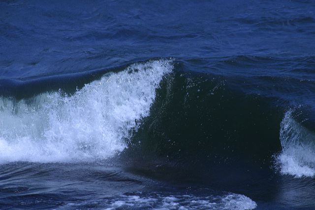 2005-07-06-133.jpg