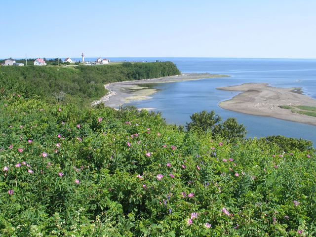 2005-07-07-035.jpg