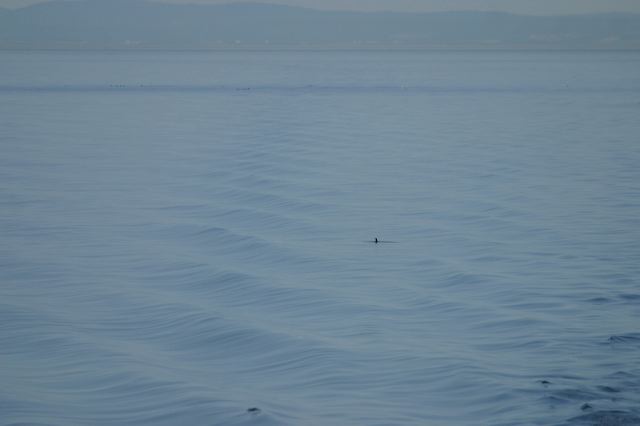 2005-07-07-175.jpg