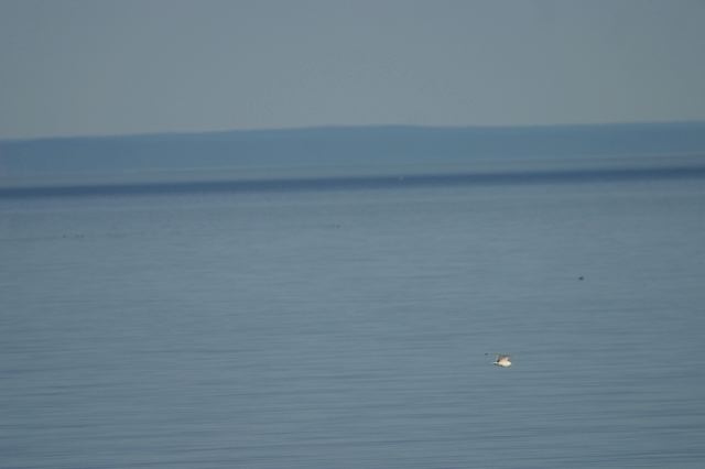 2005-07-07-186.jpg